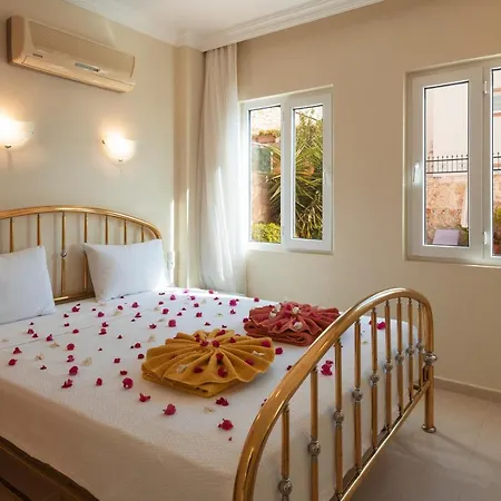 Circis Villa *